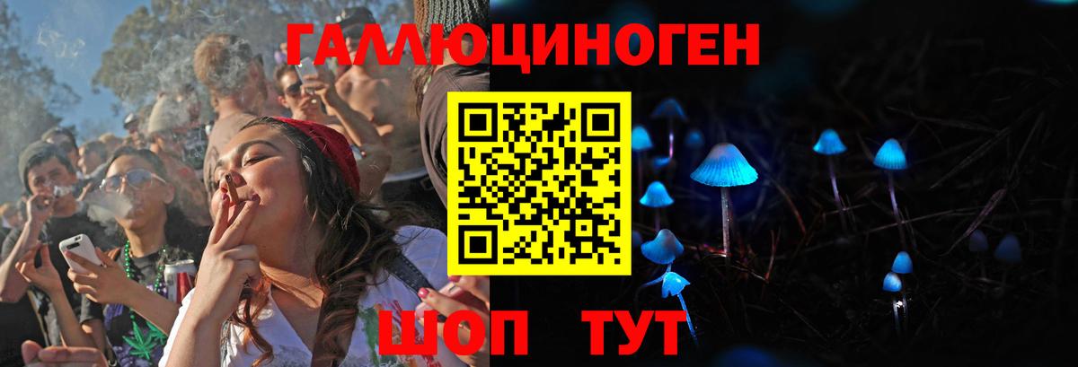 Псилоцибиновые грибы Psilocybe Искитим